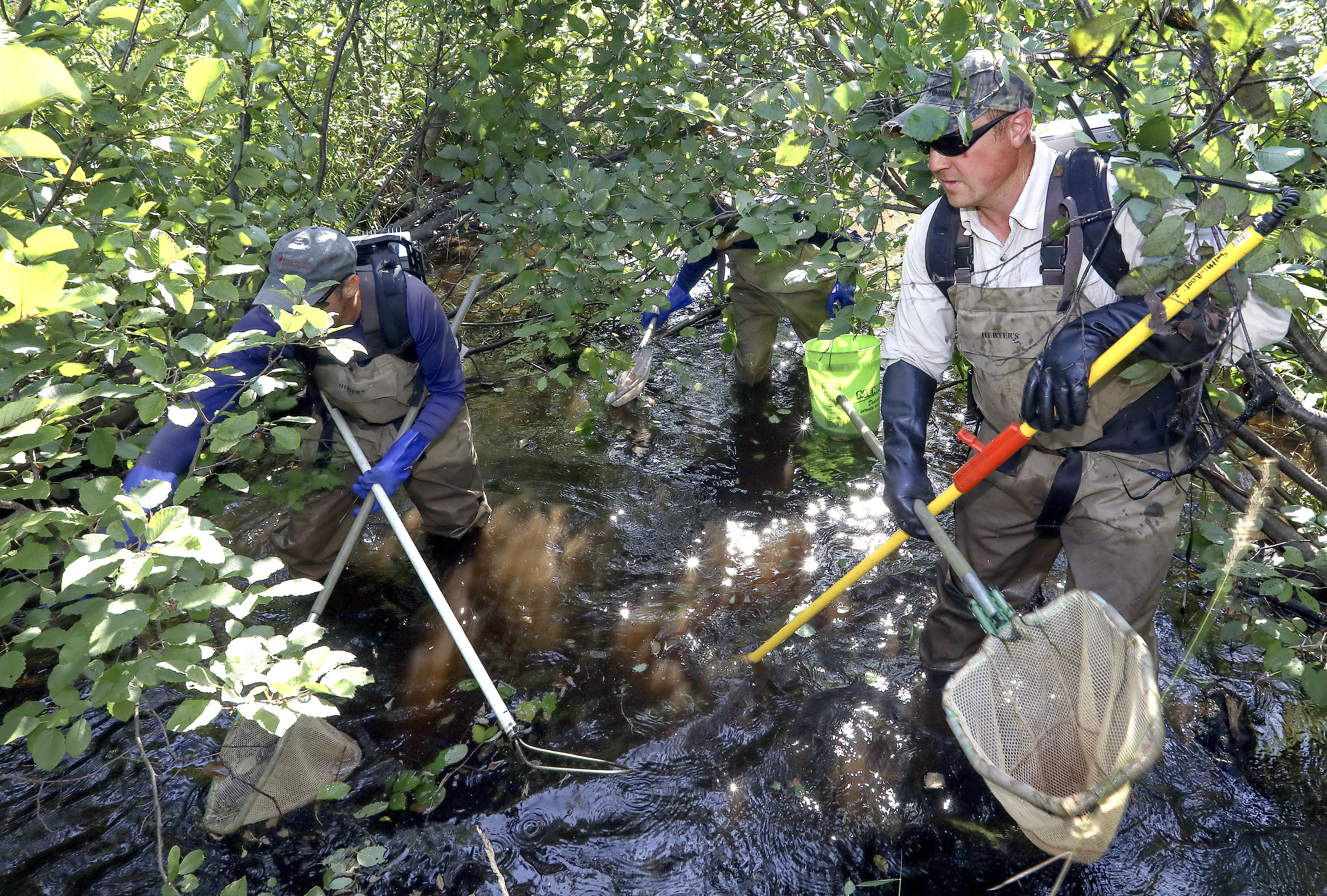 Catch a trout (seminar) at UMD Oct. 13 - Duluth News Tribune