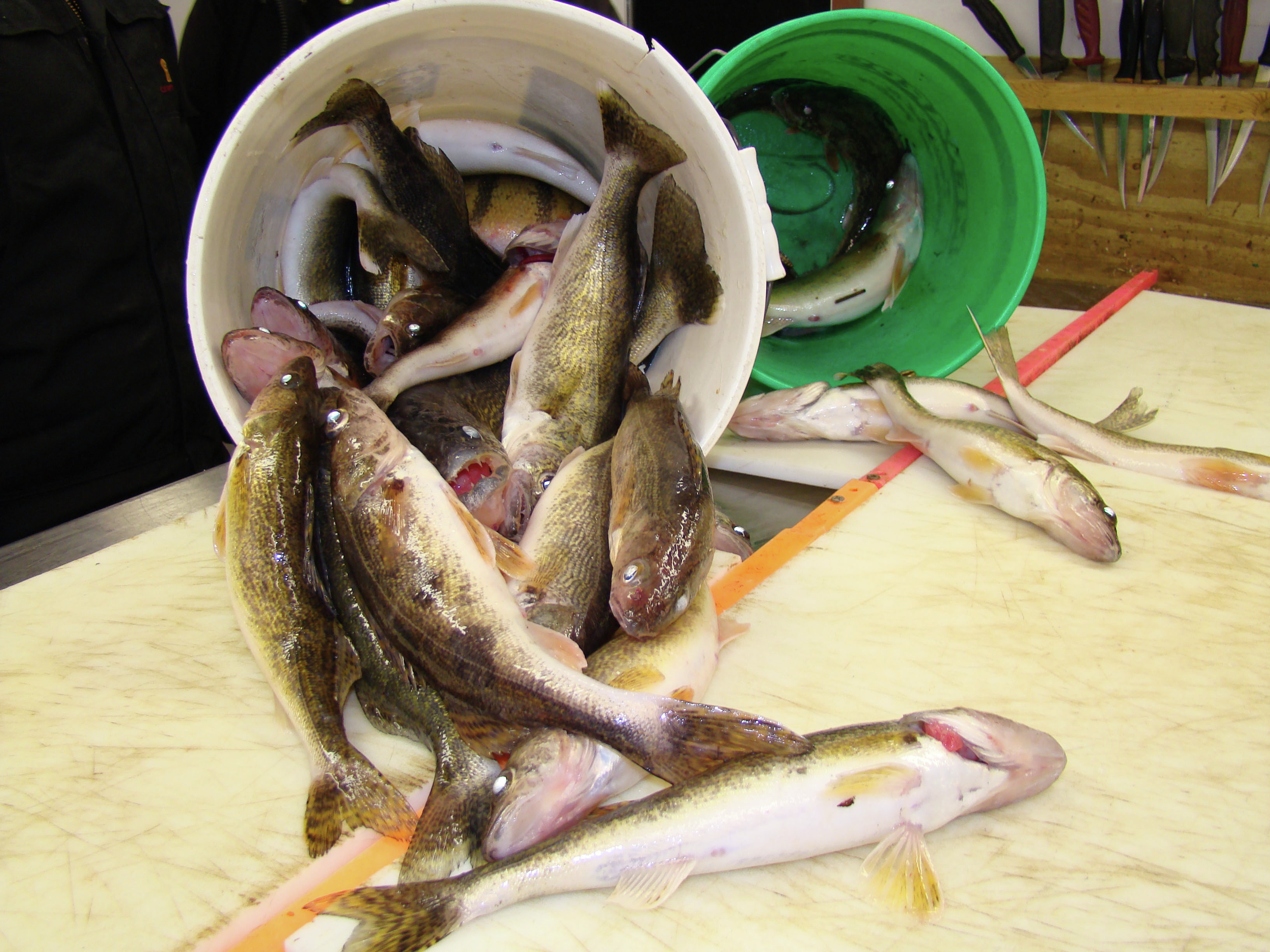 United Northern Sportsmen ice fishing contest returns Saturday and